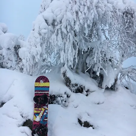 Aateli Hillside 4* Vuokatti