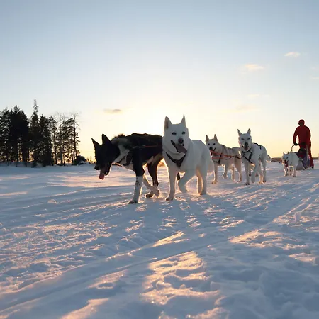 Aateli Hillside Vuokatti