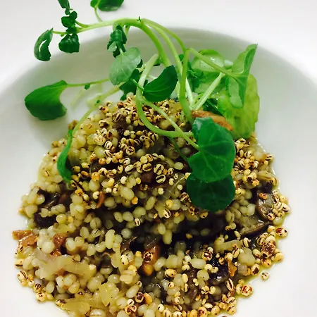 Hotel Aateli Hillside Vuokatti