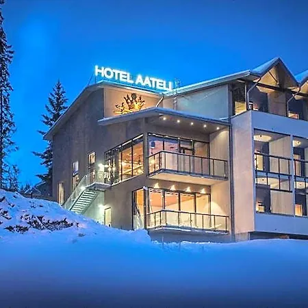 Aateli Hillside 호텔 4*