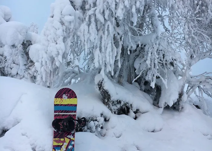 Aateli Hillside 4* Vuokatti