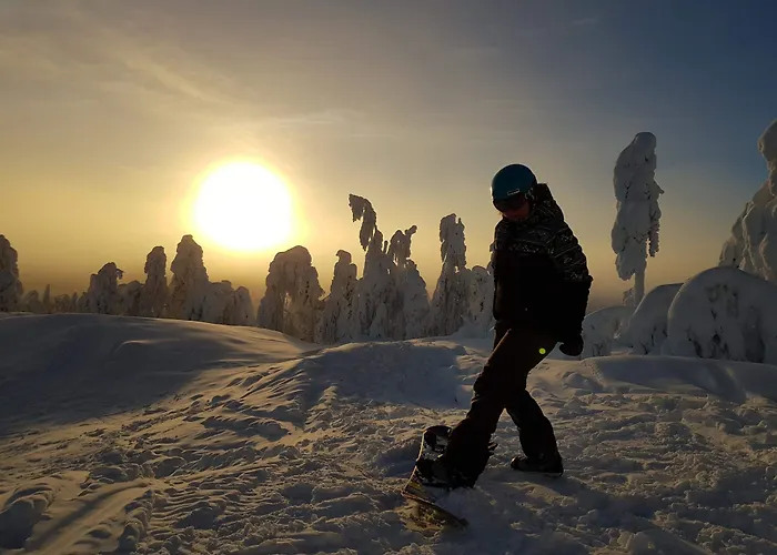 Hotel Aateli Hillside 4*