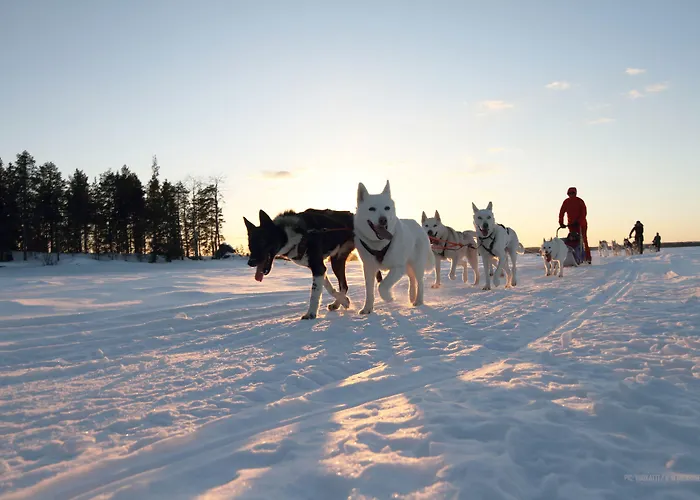 Aateli Hillside Vuokatti